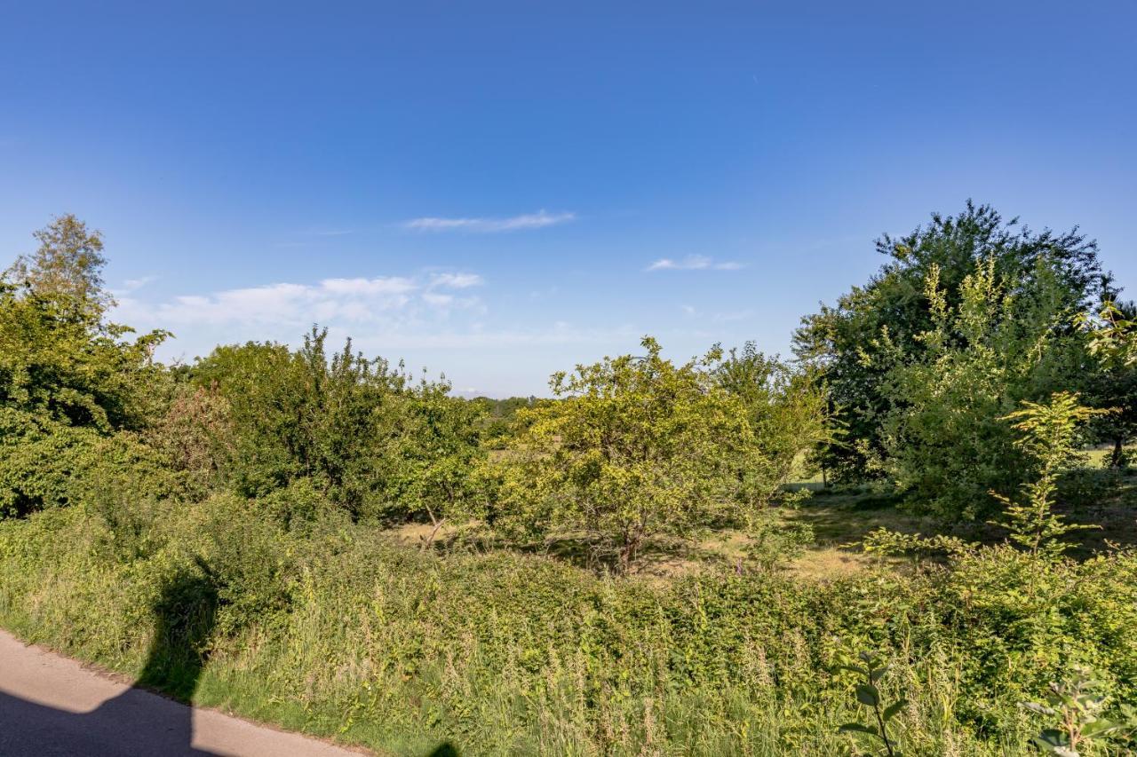 Danny Lodge - Country Cottage Near Brighton By Huluki Sussex Stays Hurstpierpoint エクステリア 写真