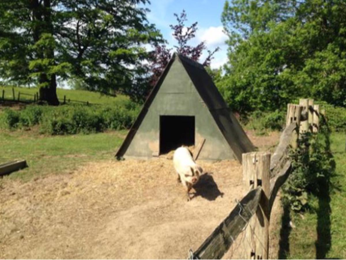 Danny Lodge - Country Cottage Near Brighton By Huluki Sussex Stays Hurstpierpoint エクステリア 写真